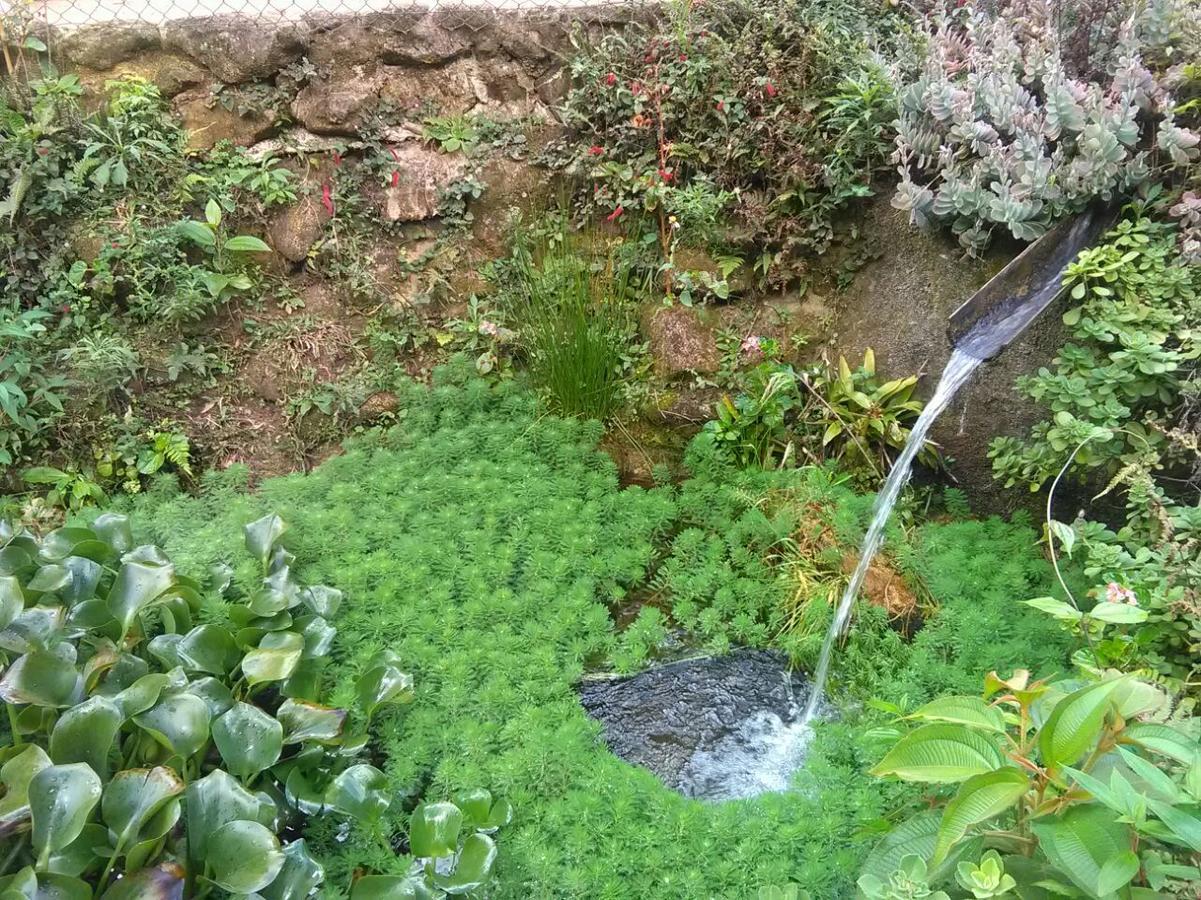 Chales Bamboo Jungle Petrópolis エクステリア 写真