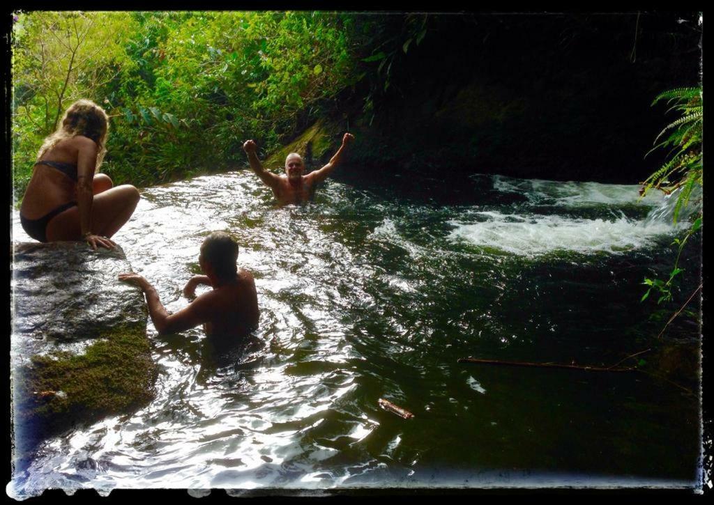 Chales Bamboo Jungle Petrópolis エクステリア 写真